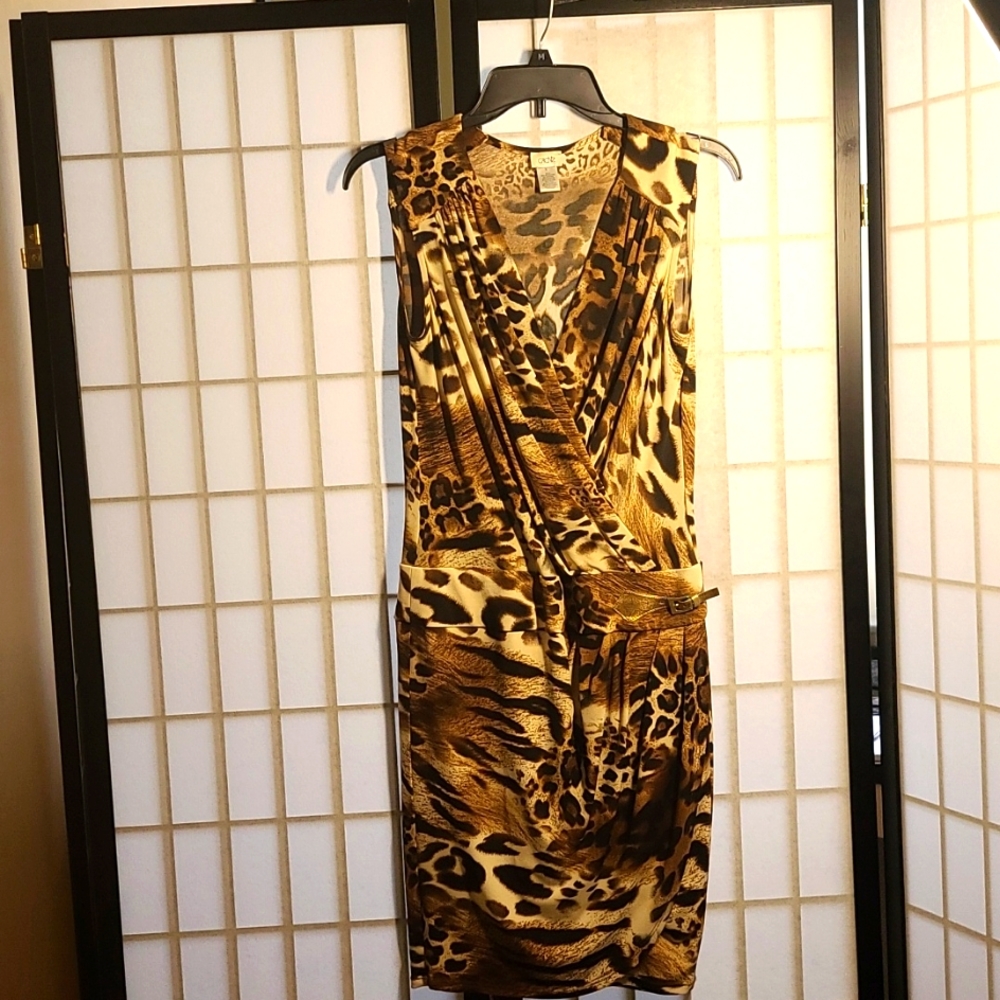 Cache Dress